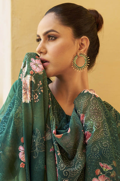Festive Glow in Organza Elegance - EastEssence.com